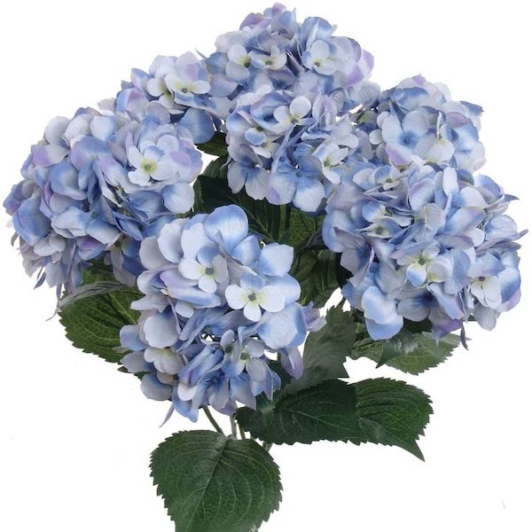 flores hortensias celeste oferta para crear tu ramo en casa