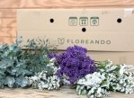 Miniatura de Caja ETERNA