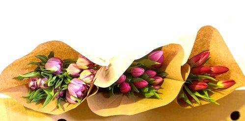 Caja - Tulipanes Variados