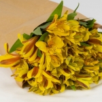 Miniatura de Alstroemeria amarilla (10 tallos)