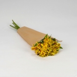 Miniatura de Alstroemeria amarilla (10 tallos)