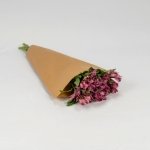 Miniatura de Alstroemeria fucsia (10 tallos)