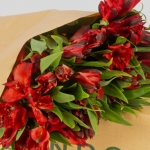 Miniatura de Alstroemeria roja (10 tallos)