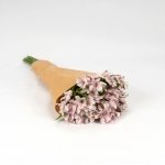 Miniatura de Alstroemeria rosa (10 tallos)