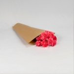 Miniatura de Clavel Colombiano fucsia (25 tallos)