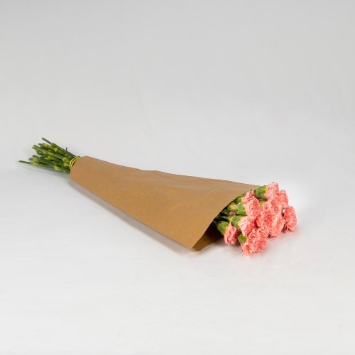 Clavel Colombiano rosa (25 tallos)