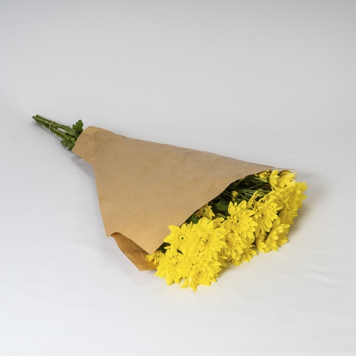 Crisantemo Amarillo (5 tallos)