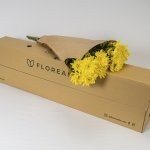Miniatura de Crisantemo Amarillo (5 tallos)