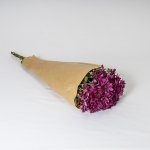 Miniatura de Crisantemo Fucsia (5 tallos)