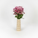 Miniatura de Crisantemo - Margarita bicolor (5 tallos)
