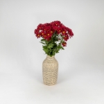Miniatura de Crisantemo - Margarita roja (5 tallos)
