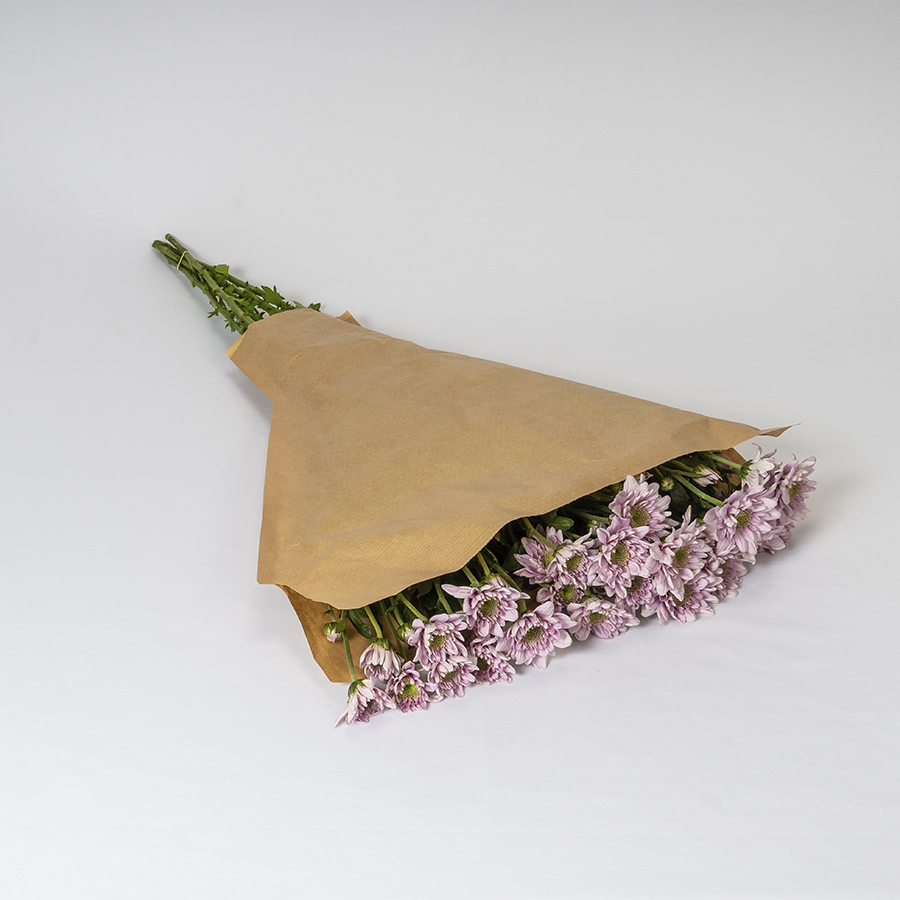 Crisantemo Rosa (5 tallos)