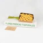 Miniatura de Gerbera amarilla (25 tallos)