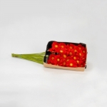 Miniatura de Gerbera roja (20 tallos)