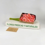 Miniatura de Gerbera rosa (25 tallos)