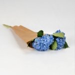 Miniatura de Hortensias azules (5 tallos)