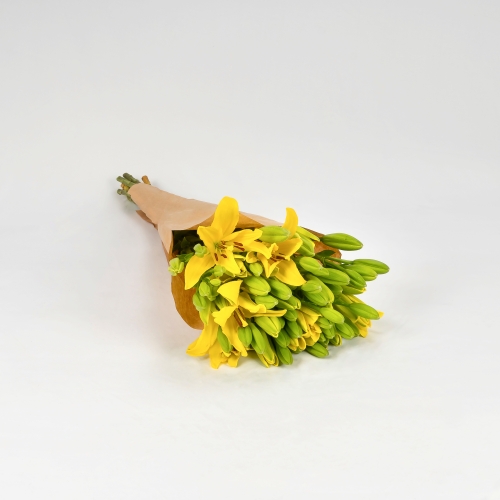 Lilium amarilla (10 tallos)
