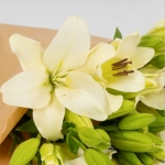 Miniatura de Lilium blanca (10 tallos)