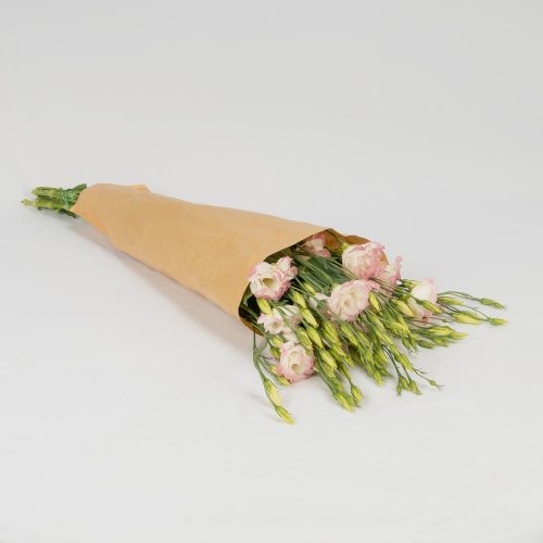 Lisianthus blanca/rosa (5-7 tallos)