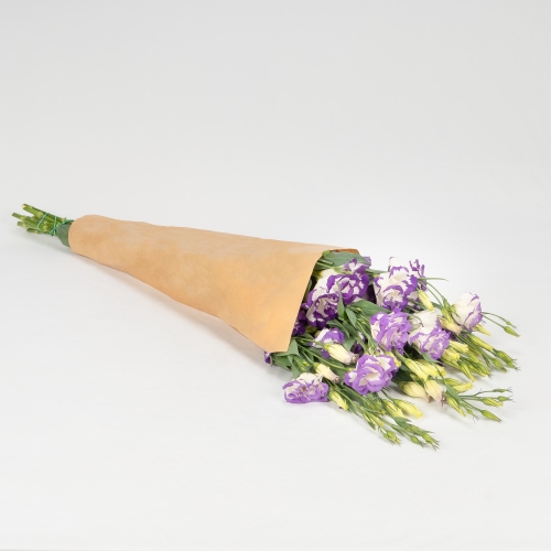 Lisianthus blanca/violeta (5-7 tallos) | FLOREANDO