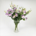 Miniatura de Lisianthus blanca/violeta (5-7 tallos)