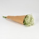 Miniatura de Paniculata