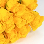 Miniatura de Rosas premium amarillas (25 tallos)