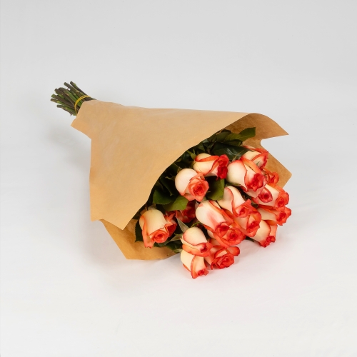 Rosas premium bicolor (25 tallos)