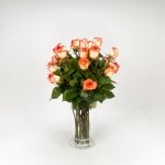 Miniatura de Rosas premium bicolor (25 tallos)