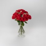 Miniatura de Rosas premium rojas (25 tallos)
