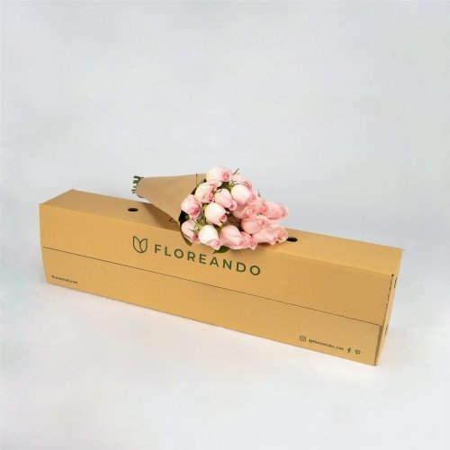Rosas premium rosas (25 tallos)