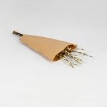 Miniatura de Salix Florecido (10 tallos)