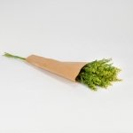 Miniatura de Solidago