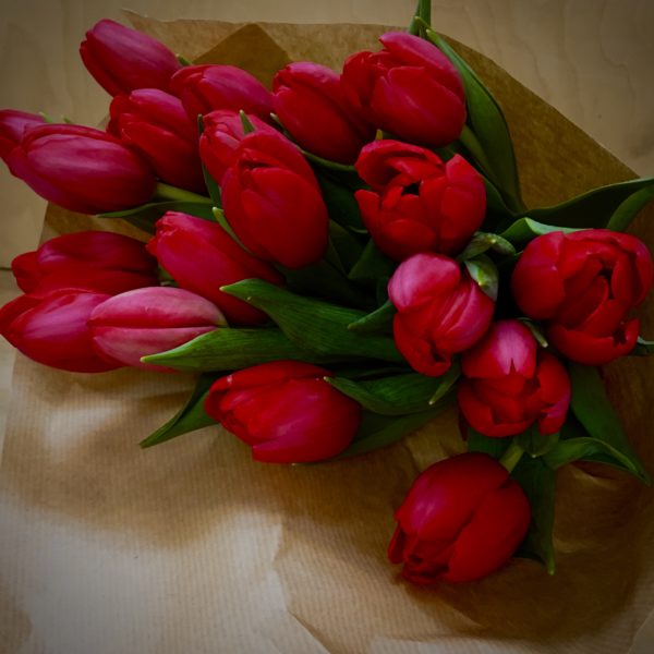 Tulipán Rojo (10 tallos)