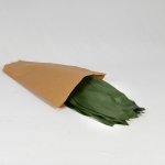 Miniatura de Aspidistra